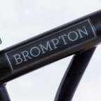 ����� ���� ������ ��������