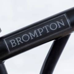 ����� ���� ������ ��������